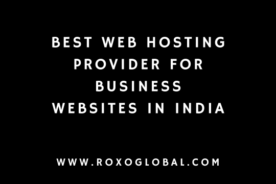 Best Web Hosting Provider for Business Websites in India | Delhi Hosting Guide