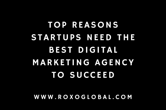 Top Reasons Startups Need the Best Digital Marketing Agency in Delhi to Succeed
