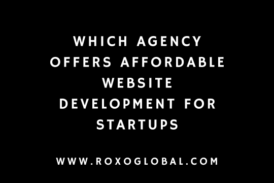 Which Agency Offers Affordable Website Development for Startups? | RoxoGlobal Delhi