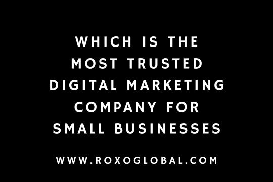 Which Is the Most Trusted Digital Marketing Company for Small Businesses in Delhi?