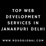Top Web Development Services in Janakpuri Delhi | RoxoGlobal