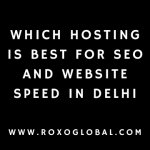 Which Hosting Is Best for SEO and Website Speed in Delhi | RoxoGlobal