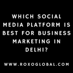 Which Social Media Platform Is Best for Business Marketing in Delhi? | RoxoGlobal